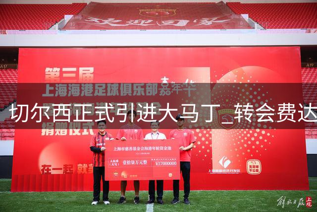 切尔西正式引进大马丁 转会费达750万英镑